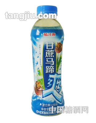 酷汁源甘蔗馬蹄爽復(fù)合果汁飲料500ml