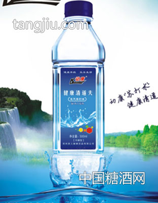 動康蘇打水500ml