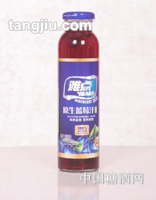 雅點藍莓果汁310ml