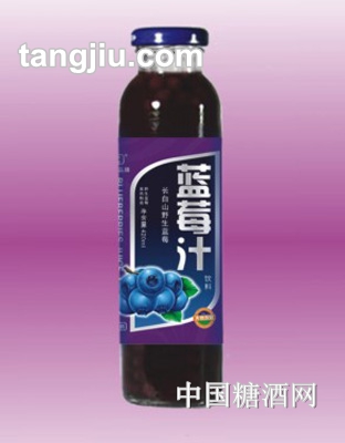 怡品源藍莓汁300ml